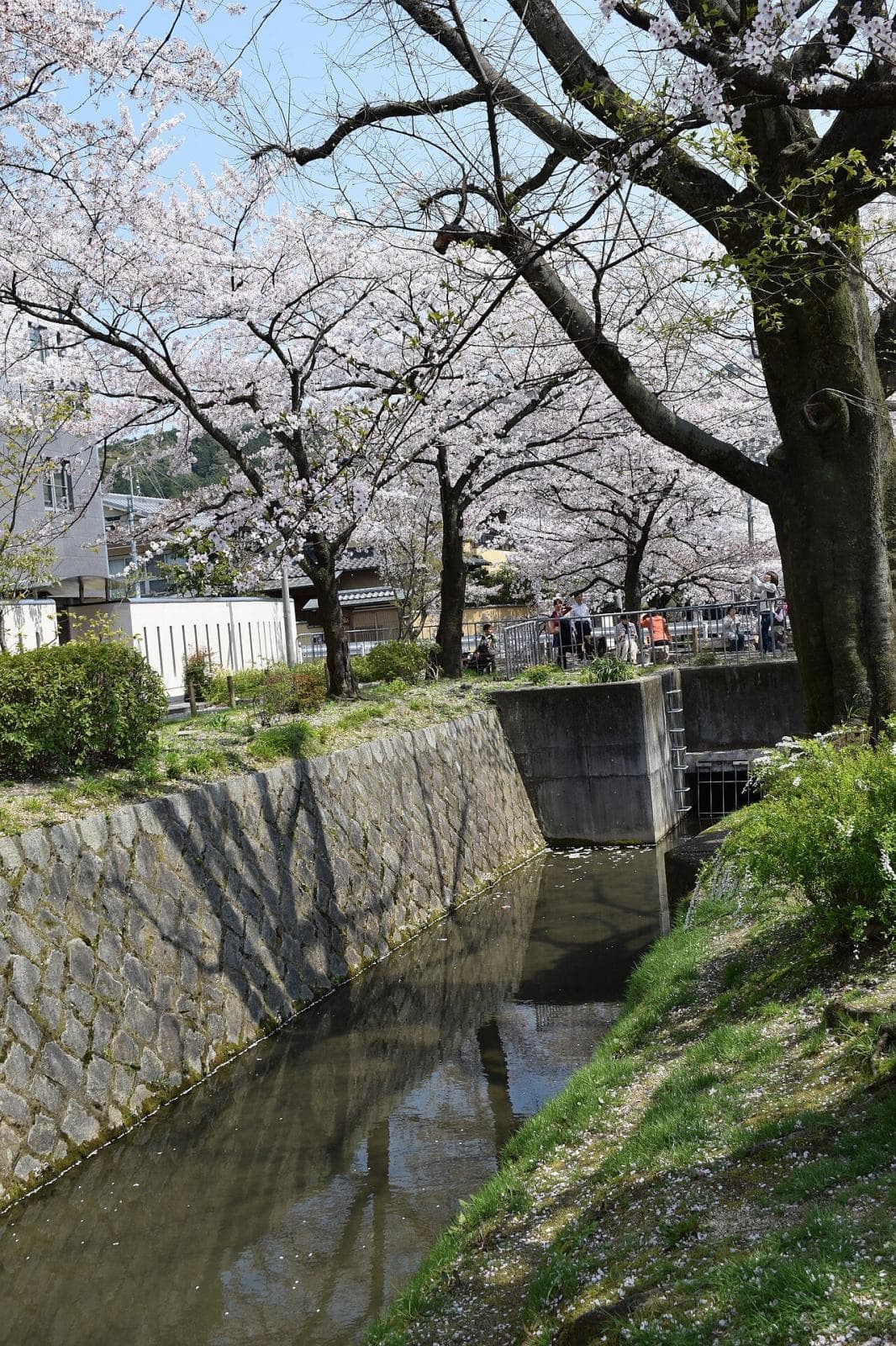 Kyoto