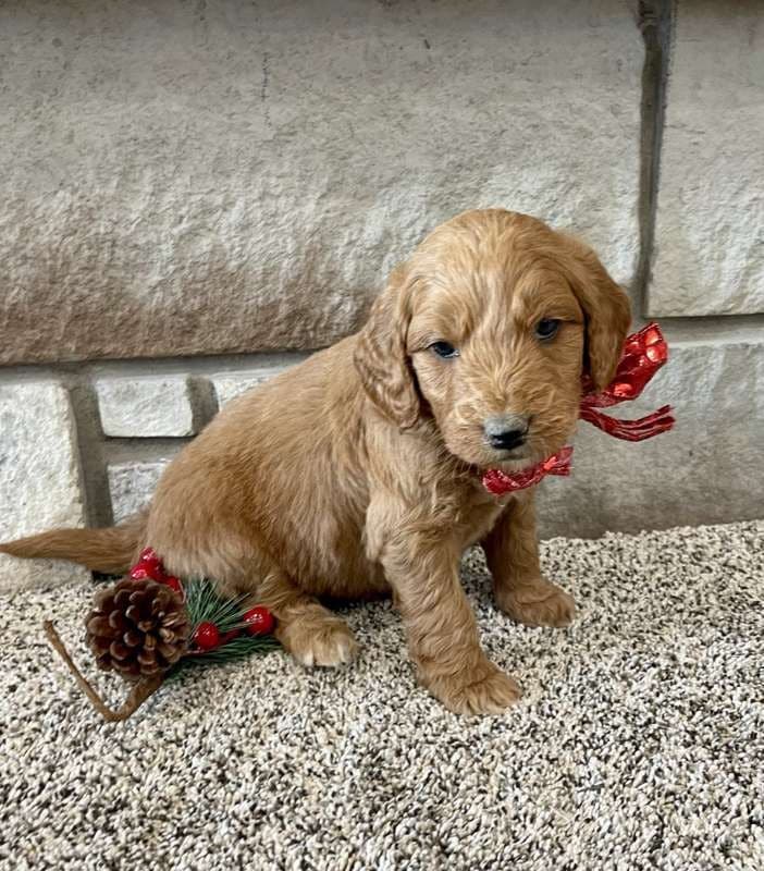 When he was small